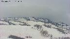 area2-20250427163039.jpg