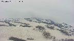 area2-20250427173034.jpg