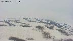 area2-20250427175043.jpg