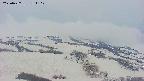 area2-20250427181112.jpg