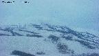 area2-20250427184030.jpg