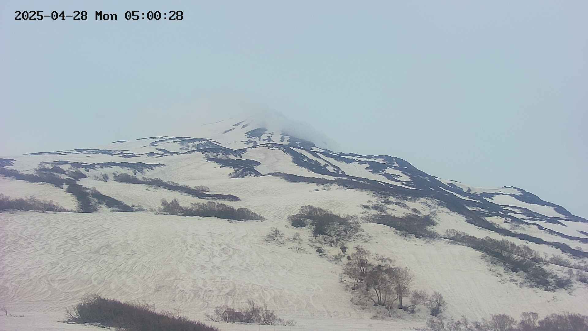 area2-20250428050030.jpg