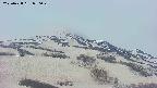 area2-20250428050030.jpg