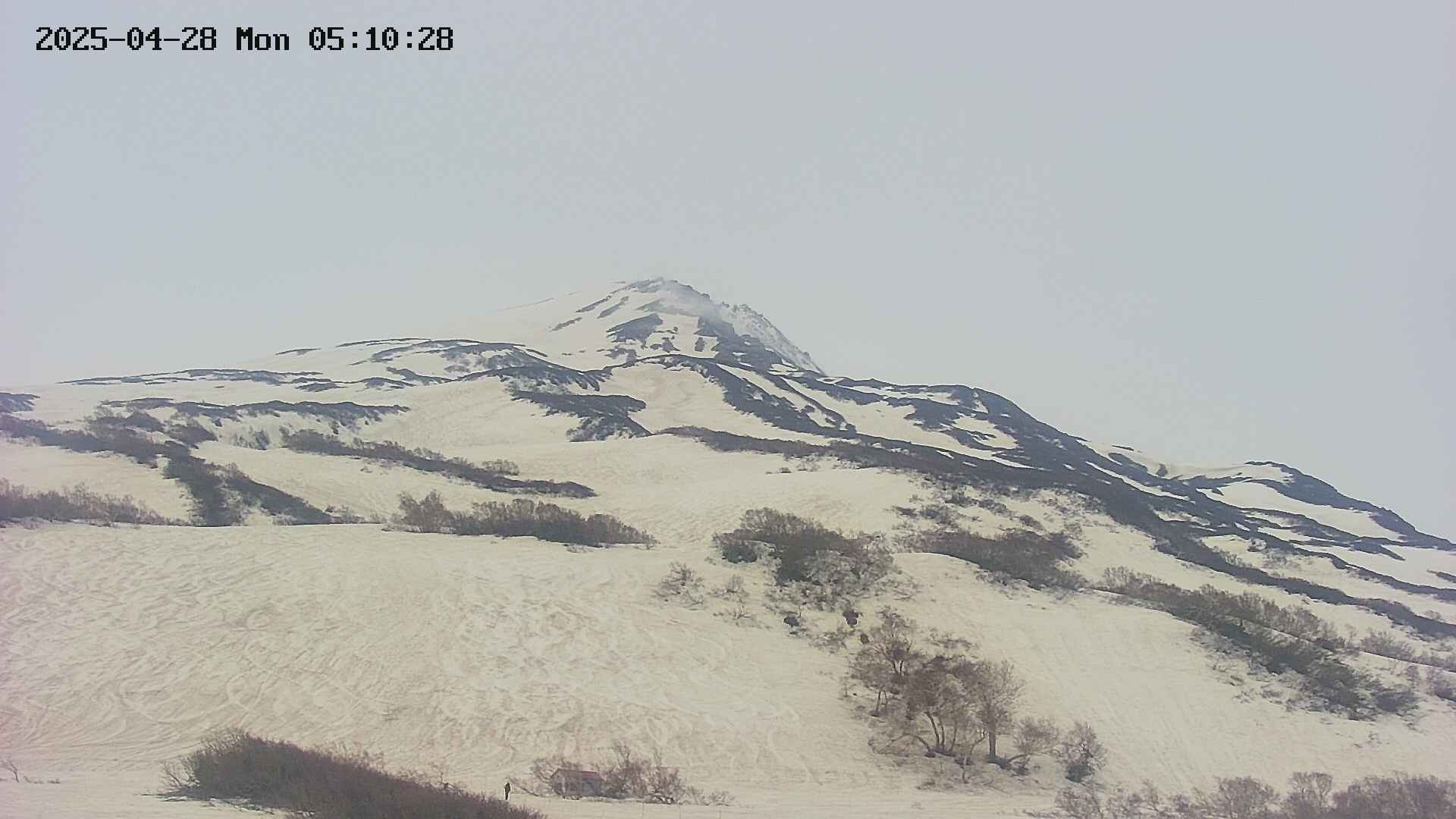 area2-20250428051029.jpg