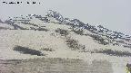 area2-20250428054031.jpg