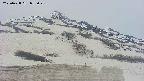area2-20250428055029.jpg