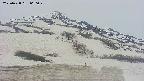 area2-20250428060031.jpg