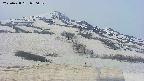 area2-20250428070031.jpg