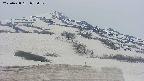 area2-20250428072031.jpg