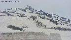area2-20250428075051.jpg