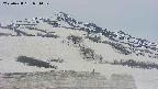 area2-20250428081037.jpg
