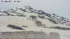 area2-20250428084032.jpg