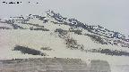 area2-20250428102151.jpg