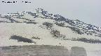 area2-20250428111109.jpg