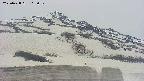 area2-20250428115034.jpg