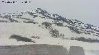 area2-20250428124038.jpg
