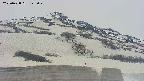 area2-20250428125031.jpg