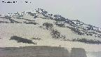 area2-20250428130032.jpg