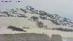 area2-20250428141033.jpg
