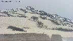 area2-20250428142042.jpg