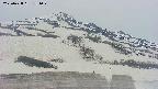 area2-20250428151031.jpg