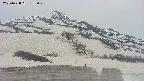 area2-20250428153030.jpg