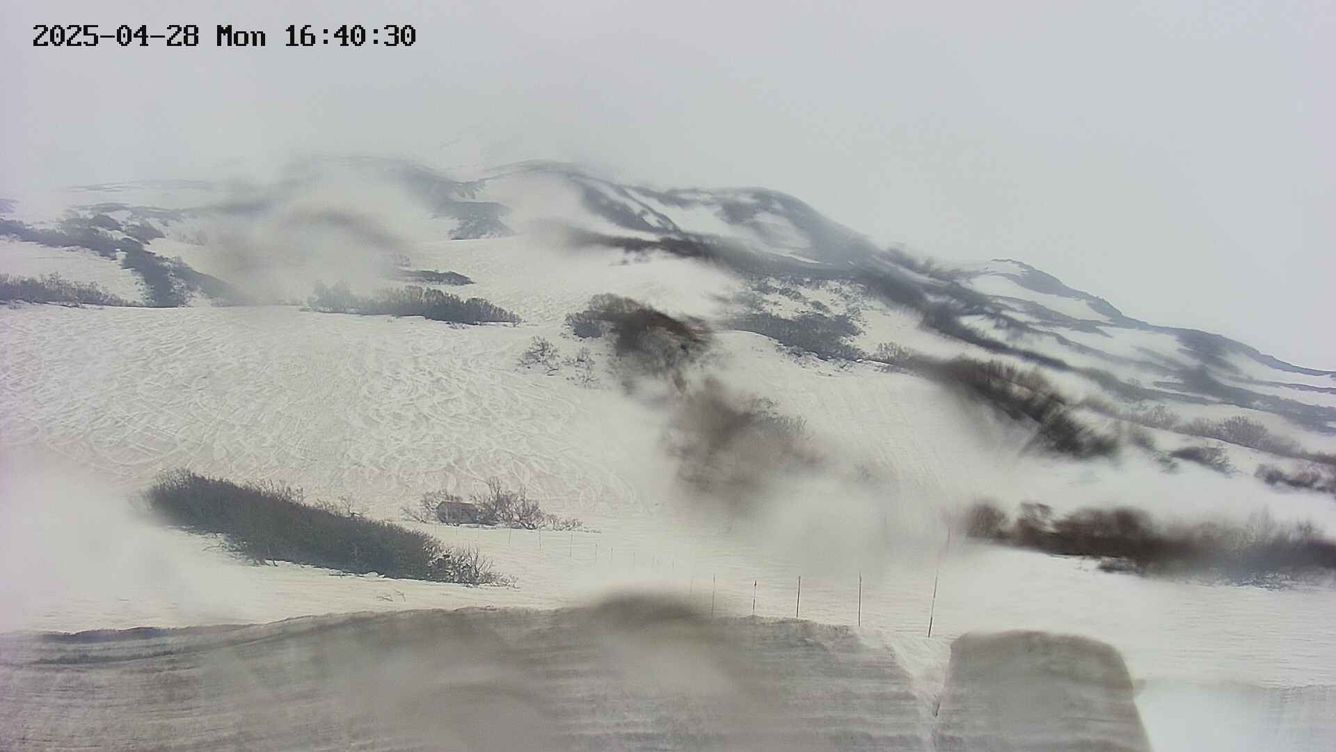 area2-20250428164032.jpg