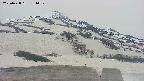 area2-20250428181035.jpg