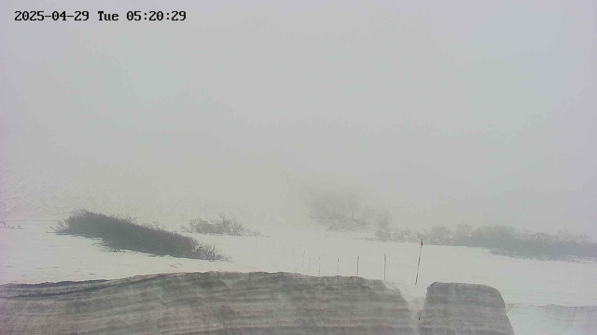 area2-20250429052029.jpg