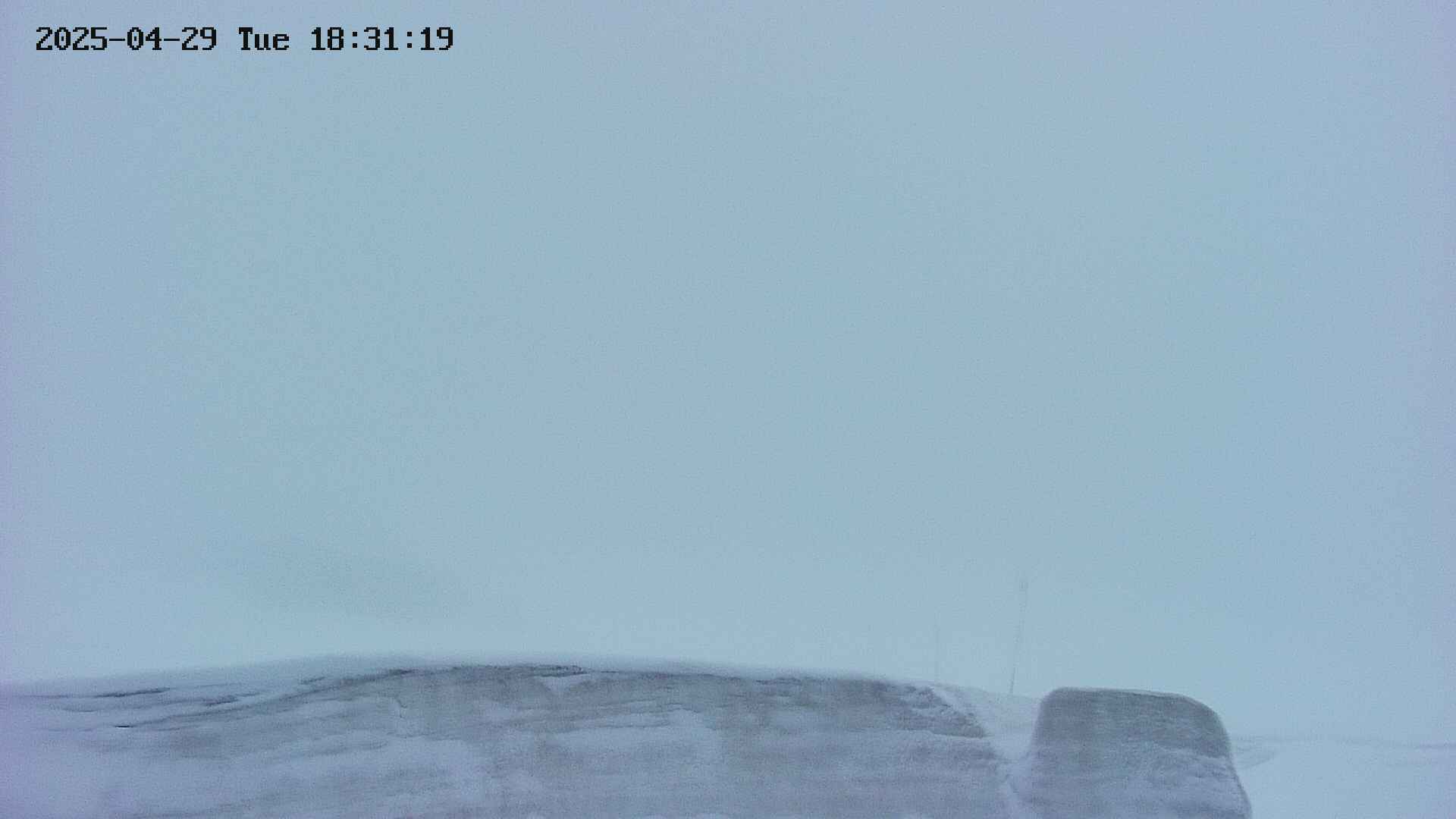 area2-20250429183122.jpg