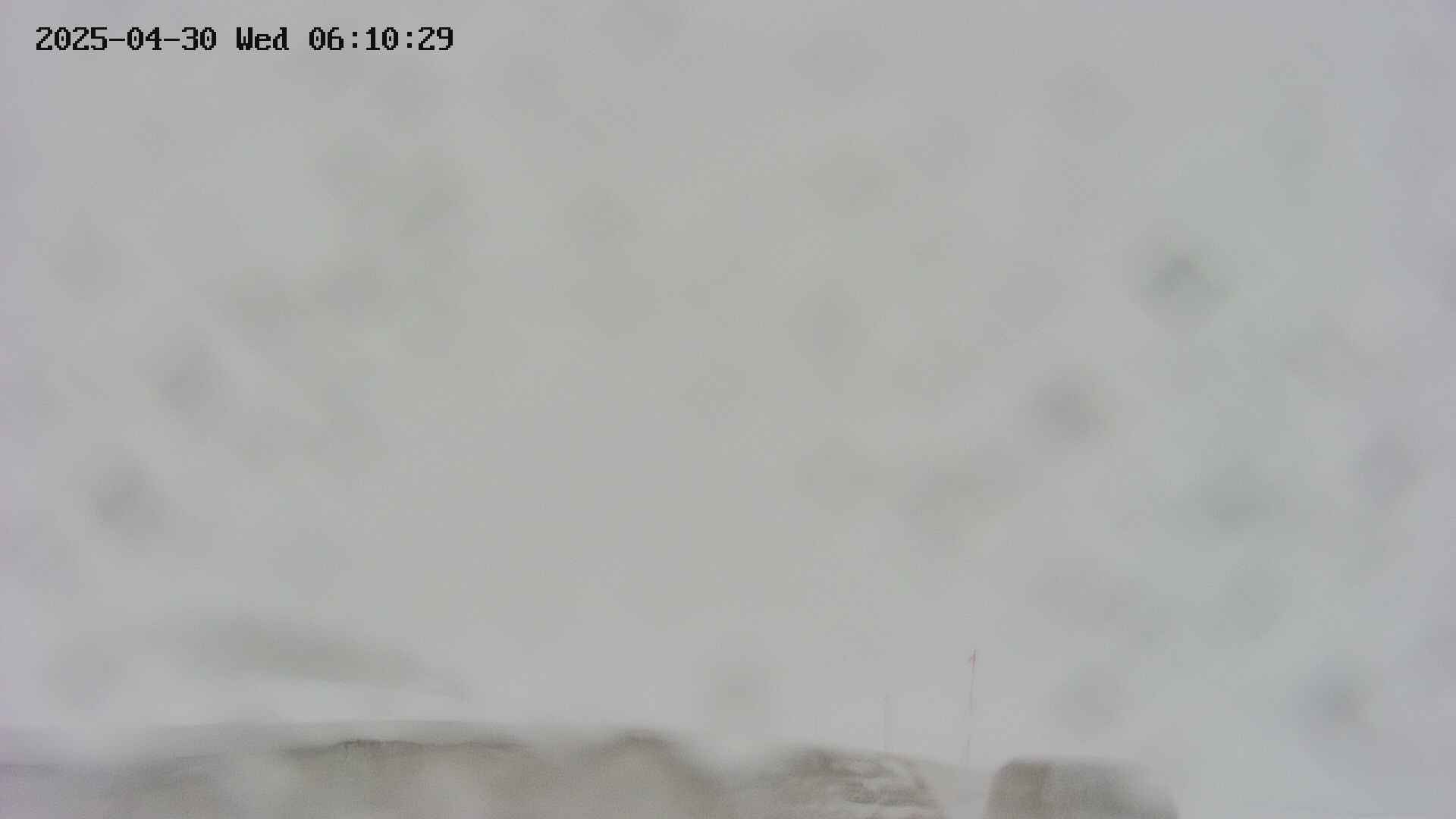area2-20250430061030.jpg
