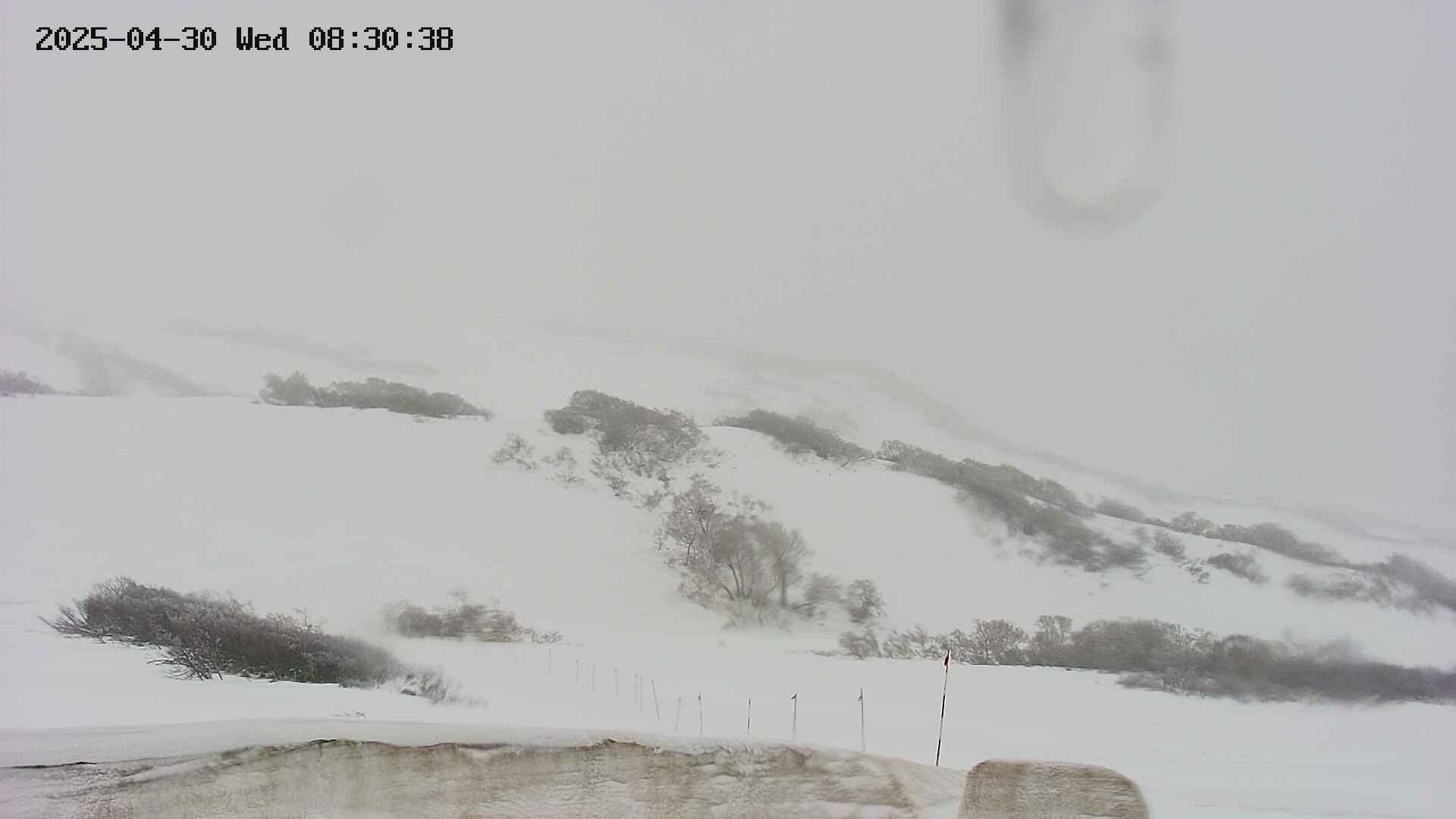 area2-20250430083039.jpg