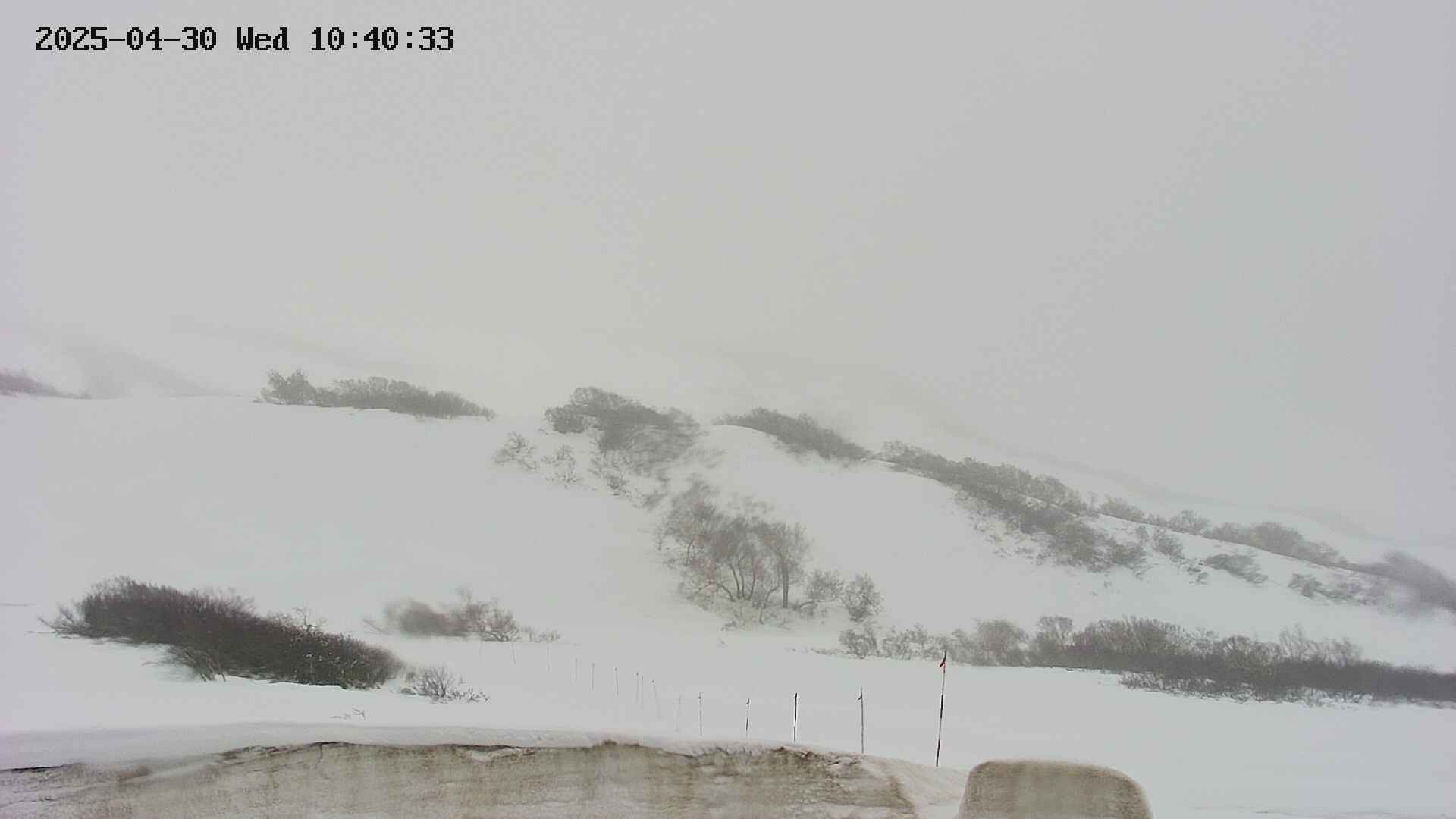 area2-20250430104040.jpg