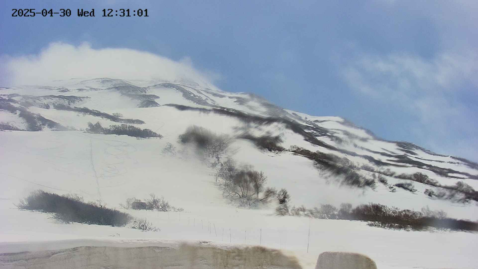 area2-20250430123109.jpg