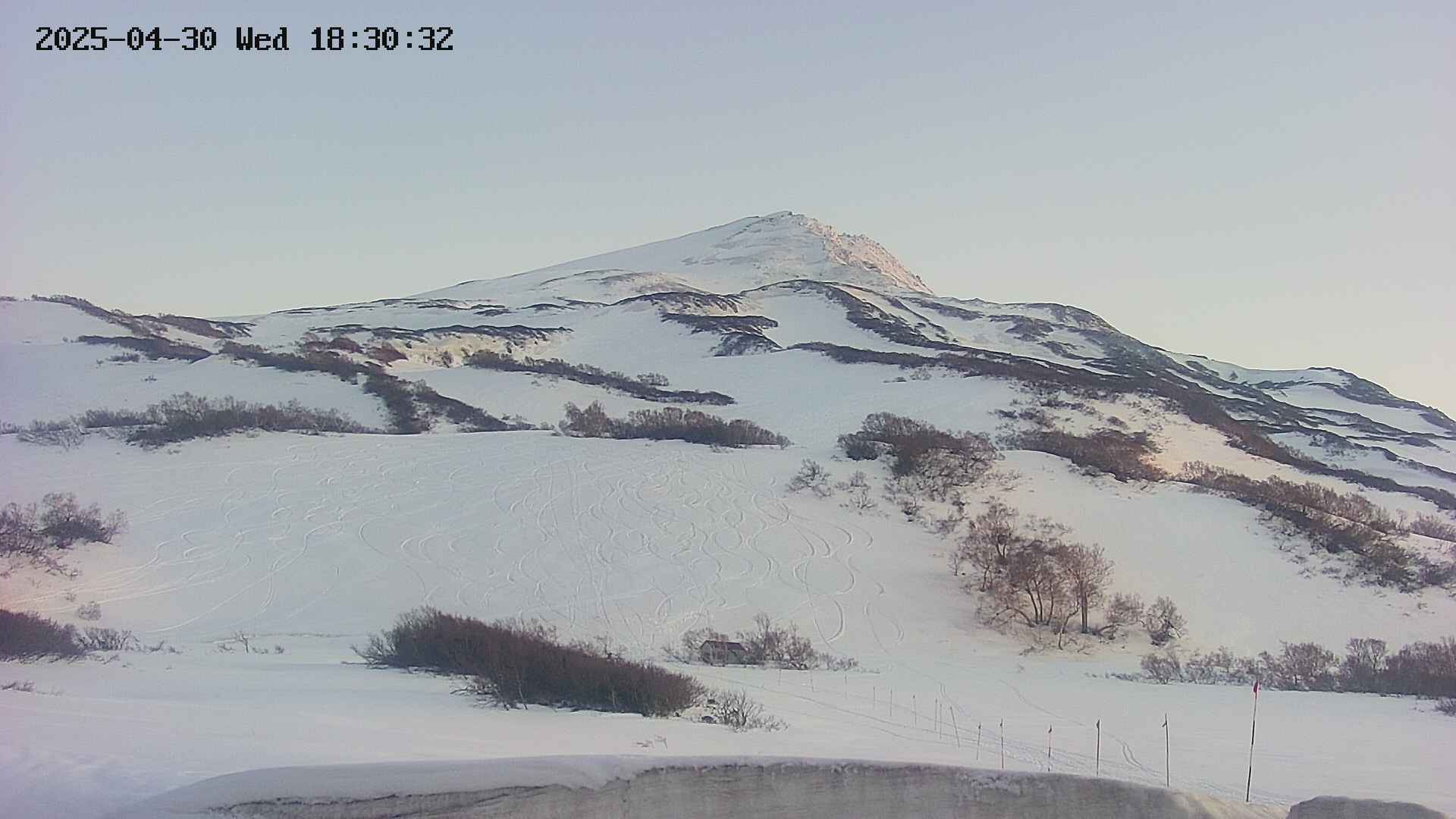 area2-20250430183039.jpg