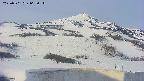 area2-20250501063041.jpg
