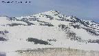 area2-20250501093036.jpg