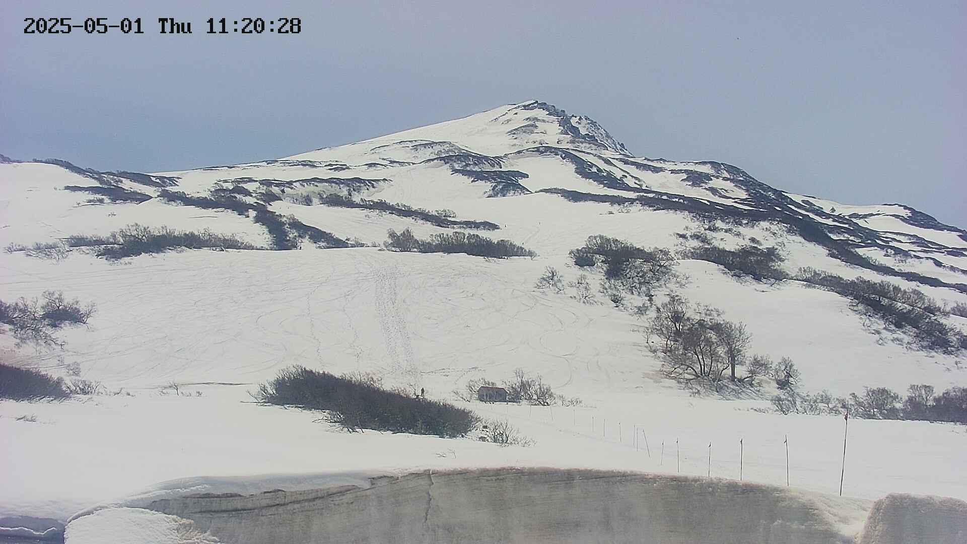 area2-20250501112030.jpg