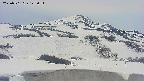 area2-20250501122035.jpg