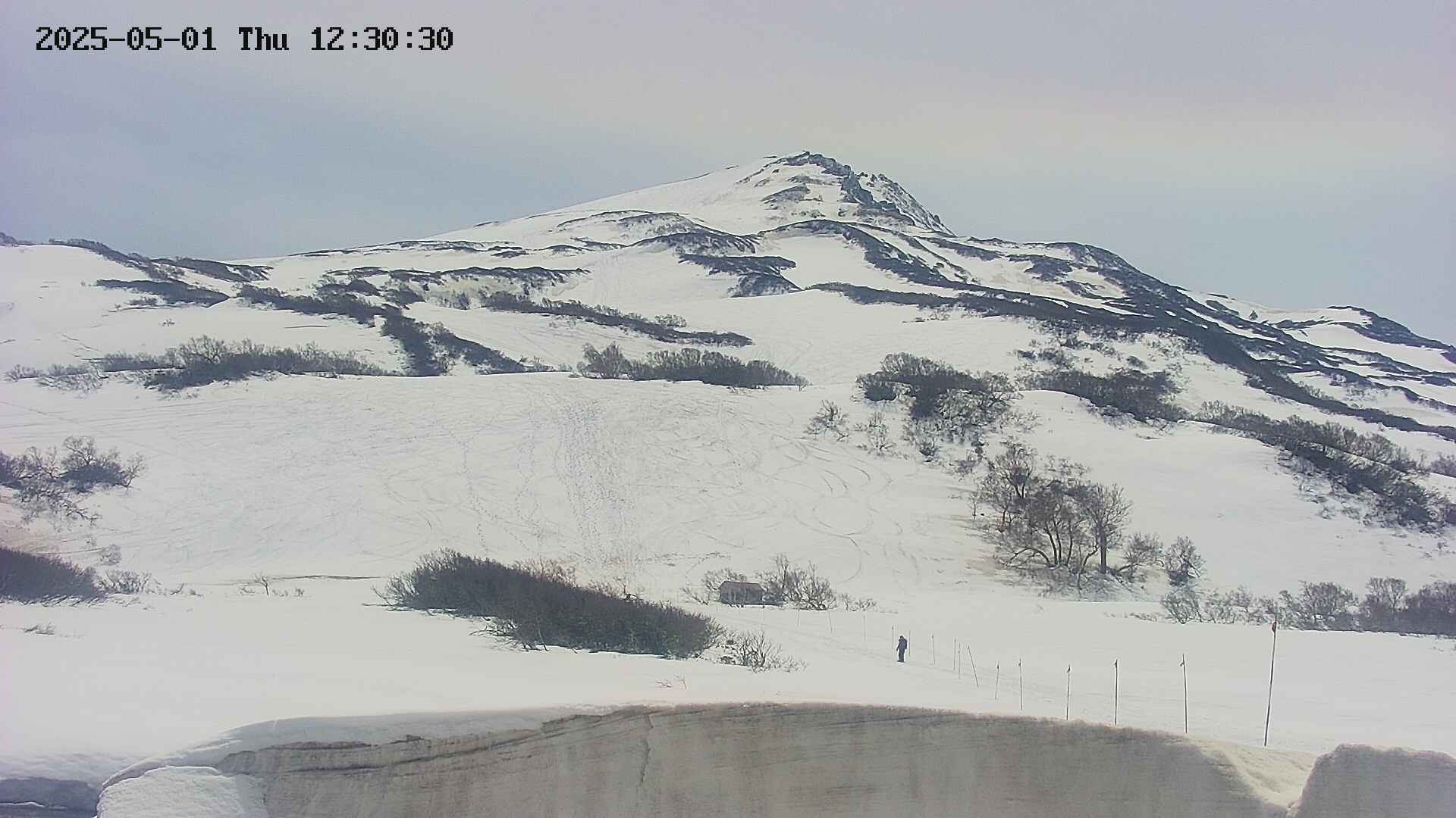 area2-20250501123032.jpg