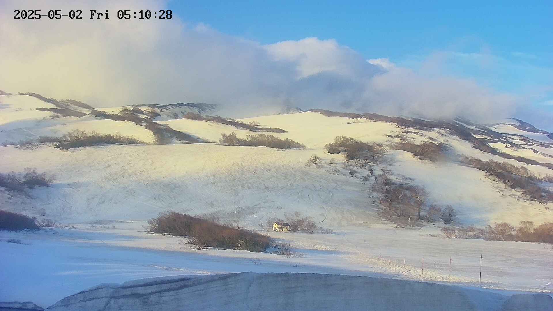 area2-20250502051030.jpg