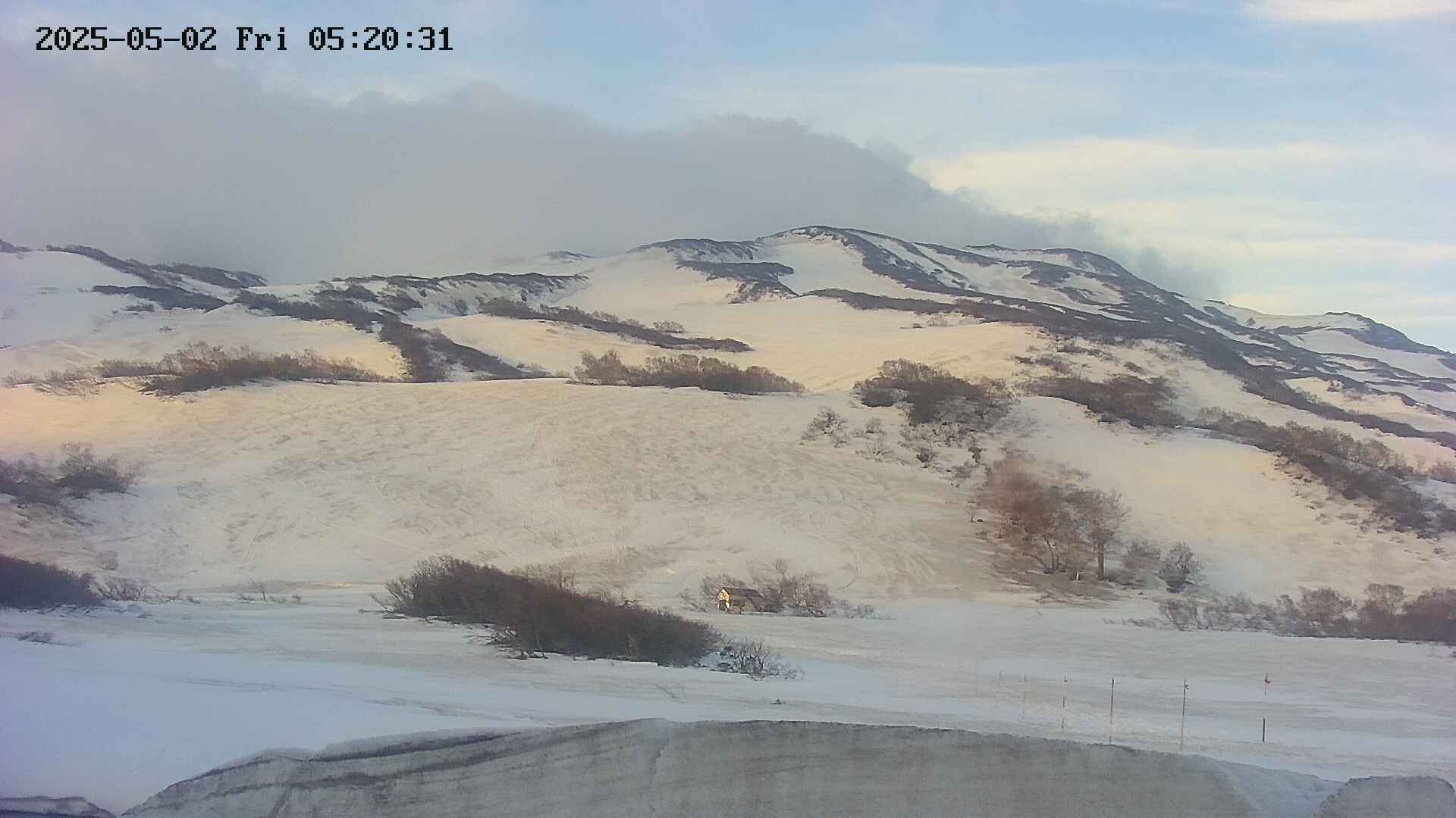 area2-20250502052032.jpg