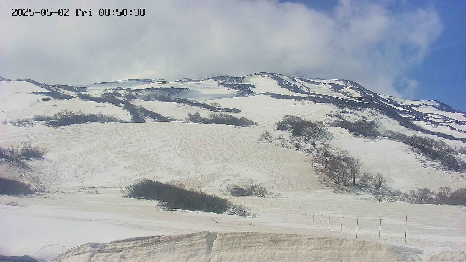 area2-20250502085044.jpg