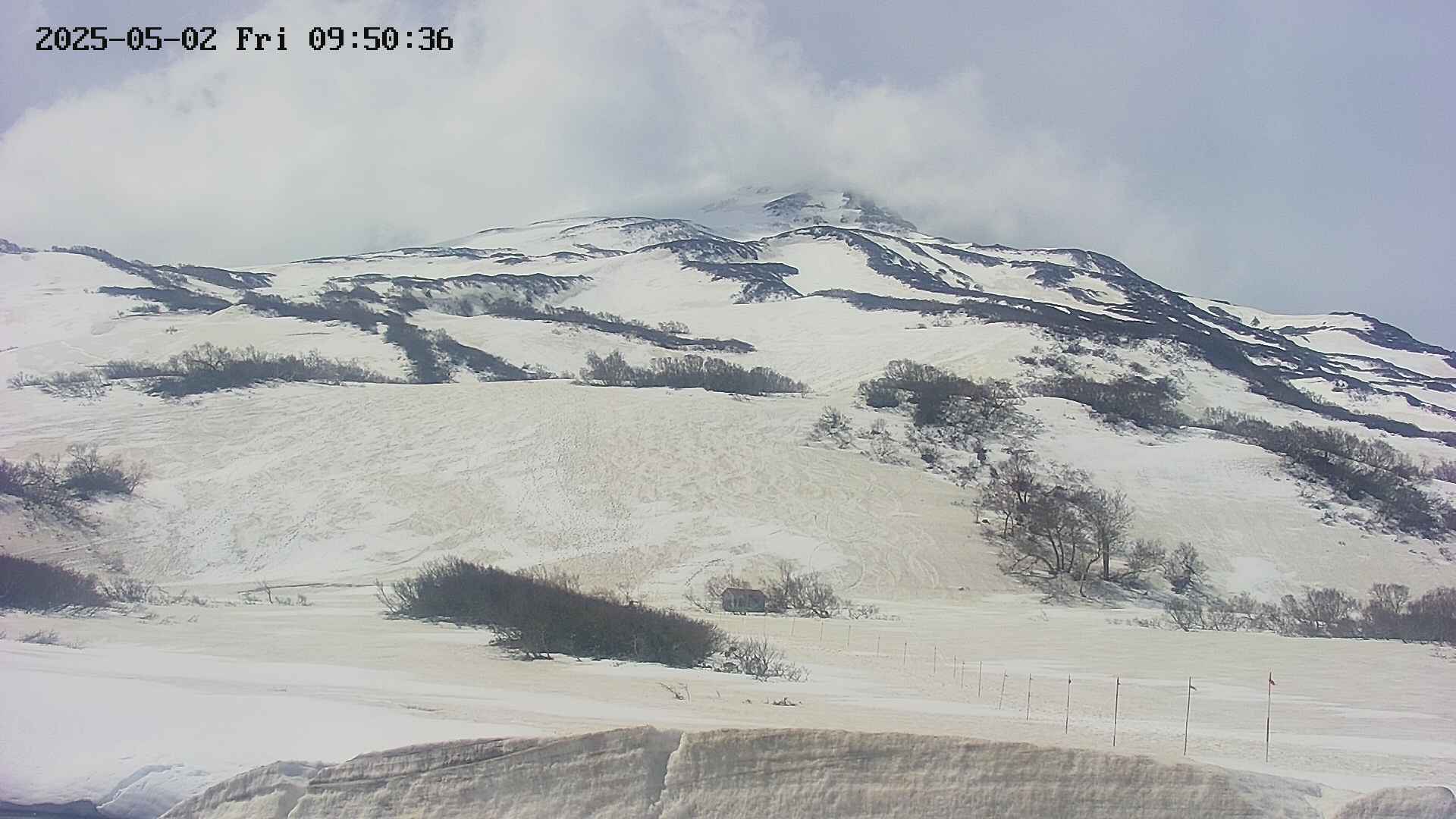 area2-20250502095040.jpg