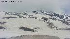 area2-20250502115257.jpg