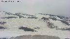 area2-20250502134033.jpg