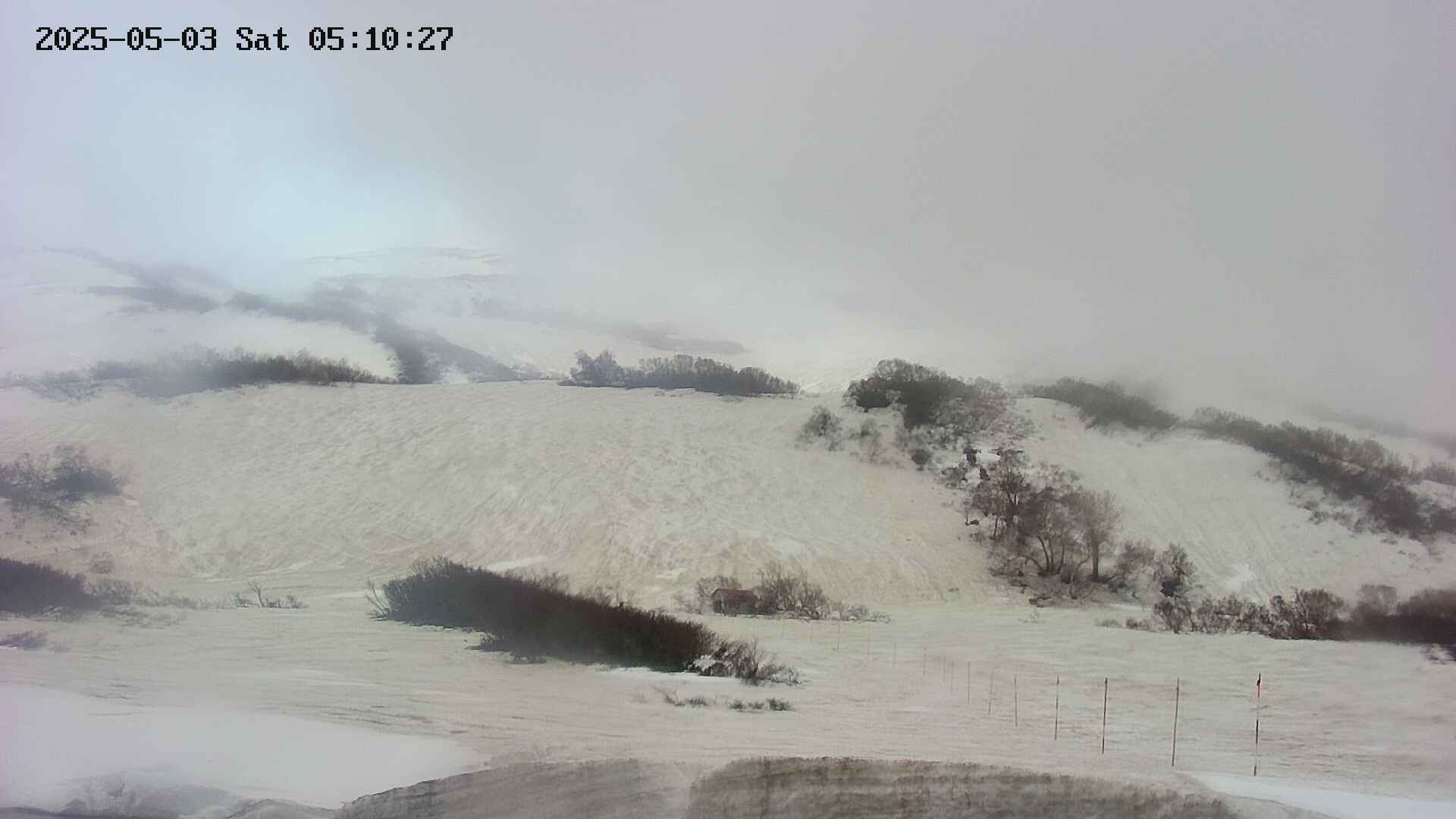 area2-20250503051028.jpg