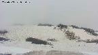 area2-20250503053037.jpg