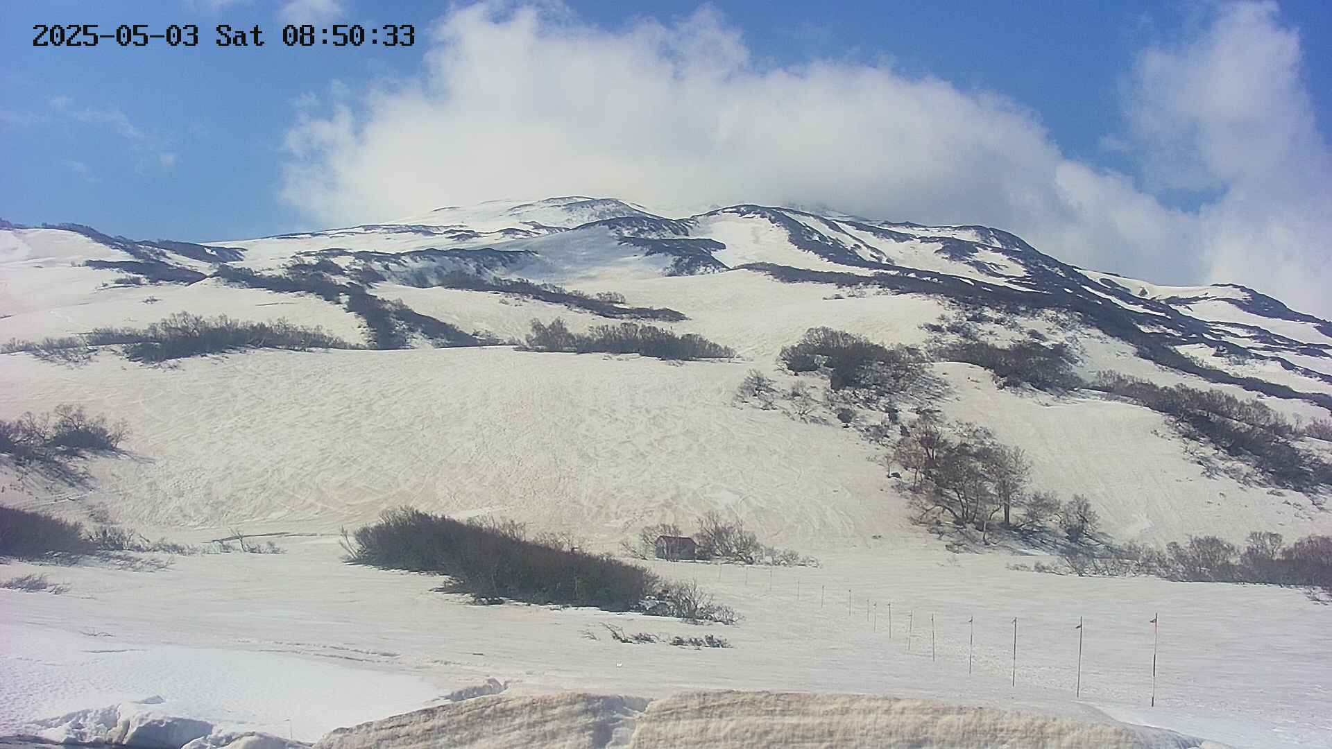 area2-20250503085036.jpg