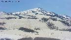 area2-20250503125042.jpg